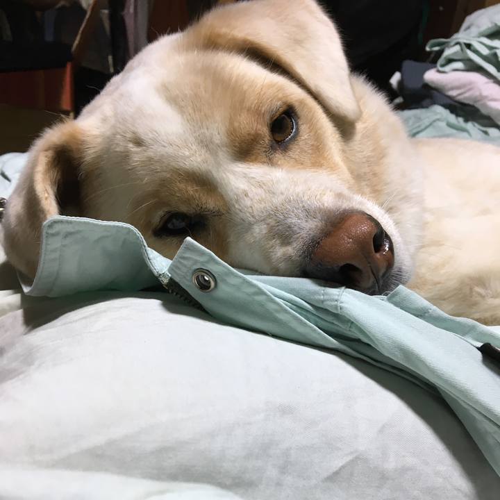 036e9b07 d82f 452e 8f4a 11e82cece333