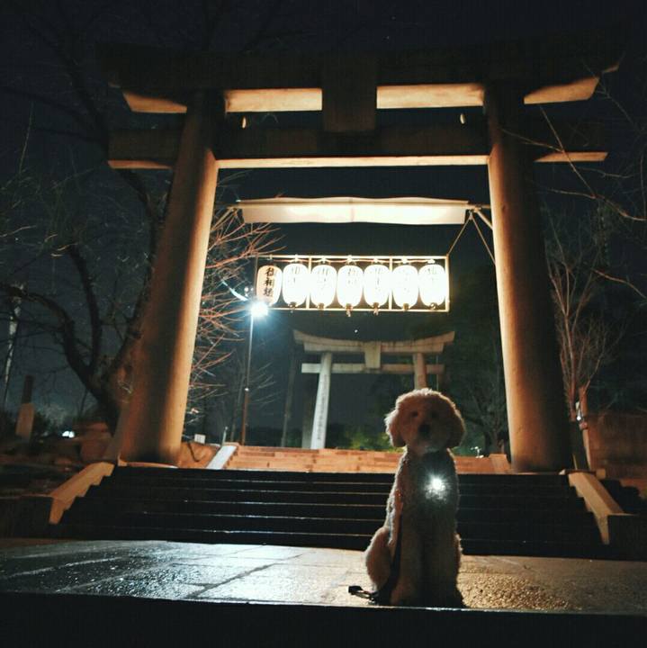 036eb075 fca9 4b24 8d43 8274a3dcce9f