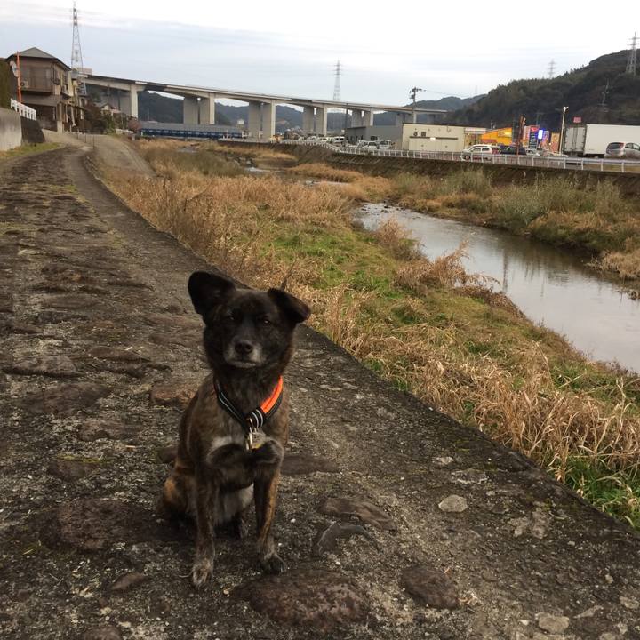 036ef8fd 9e7d 4a9a bf9d 3e0a17c1ce63