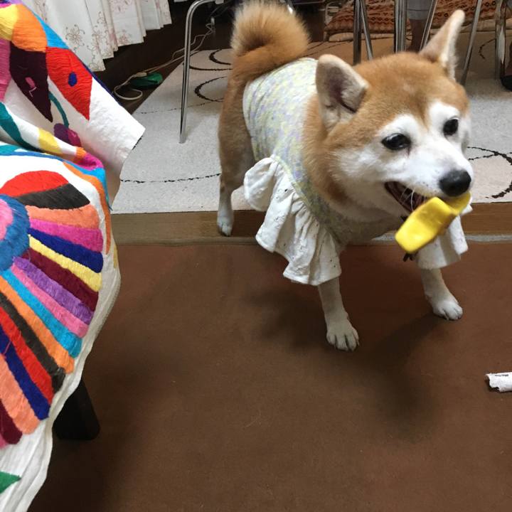 03702460 37f4 4245 b84a 227fda891417