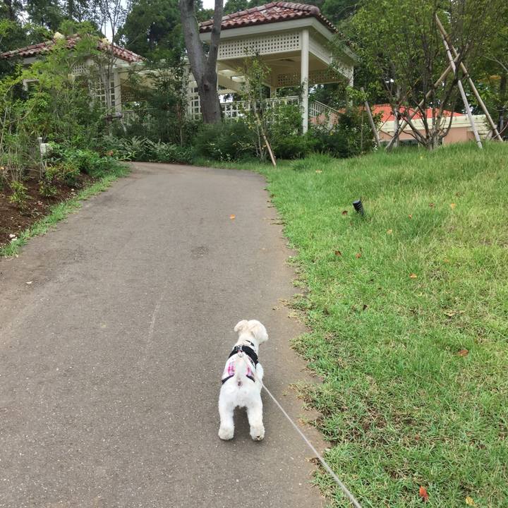 03708289 7685 4699 9677 bfe5a8b3fee6