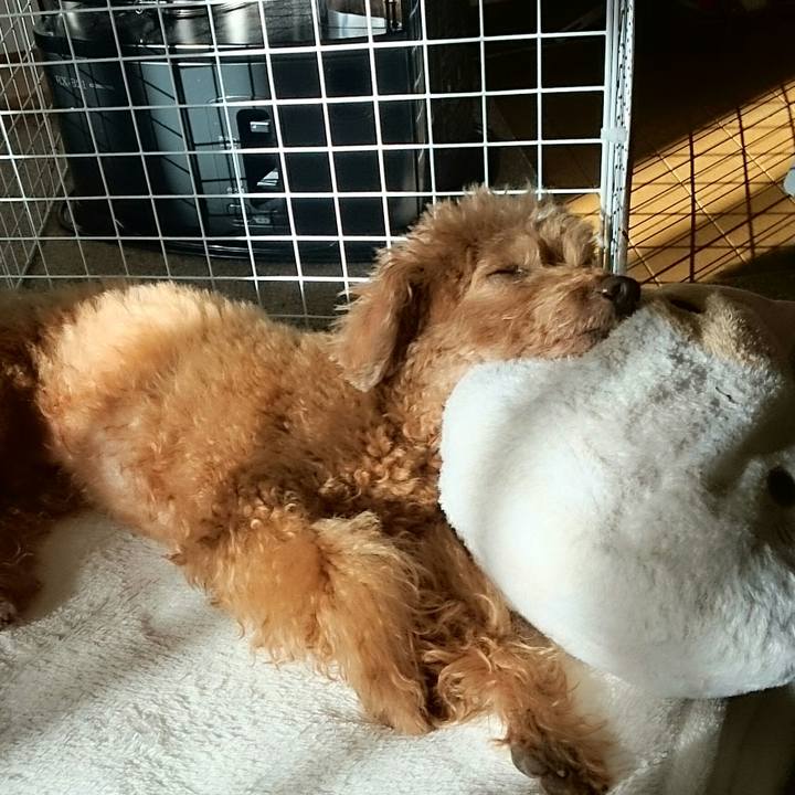 0370a6e2 a2f2 480a 82e9 5fdf9ee183a0