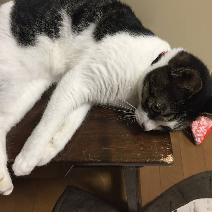 0370be21 272b 4ccb 8fa1 971054cd61b6