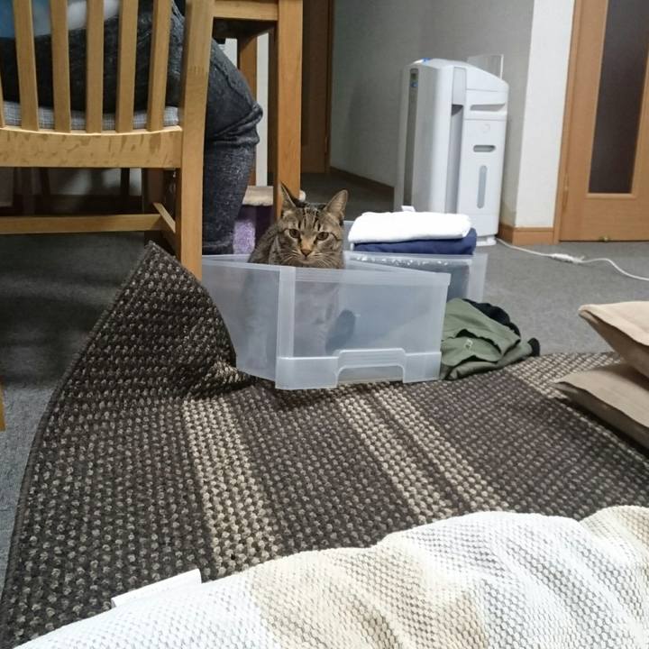 03710585 b666 4028 9d41 e216eb6fd19b