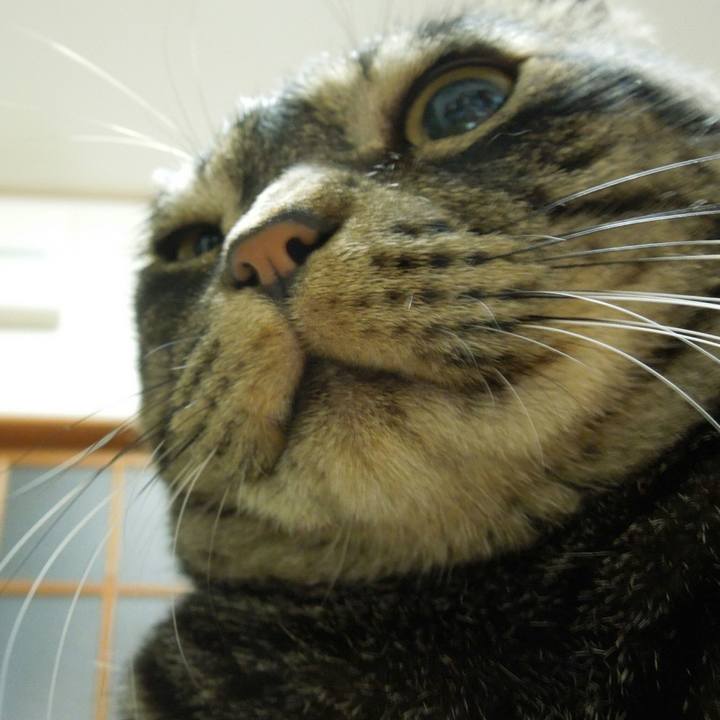 03715bca e2ce 4b09 b9e0 d6c18b717aab