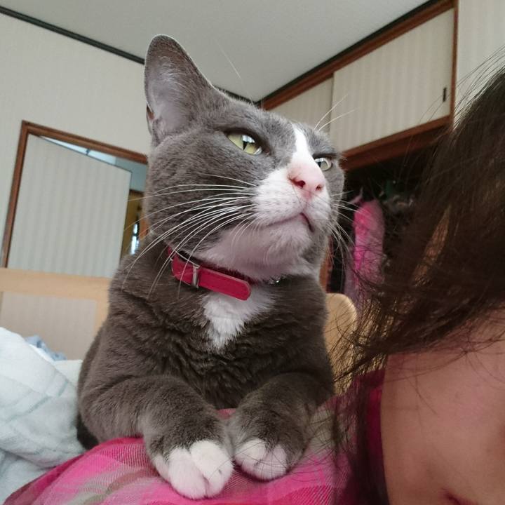 037176e5 3771 474d 93f0 7880437244e6