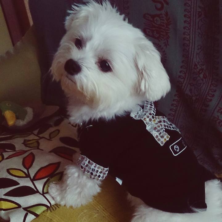 037186c0 e360 4072 ab53 f4016de509d3