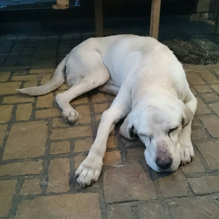 0371be31 ab53 4eca 9f8a 930a575d9325