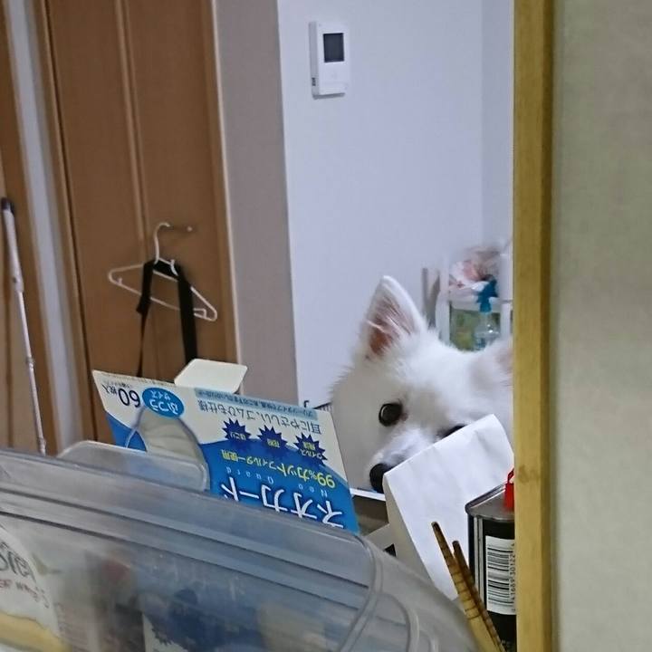 037225e6 e1bb 4916 9896 14e7fbfc0303