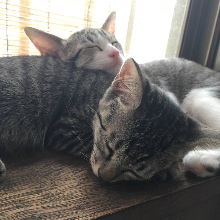 03724356 5512 4285 ba0f e4df012bcea0