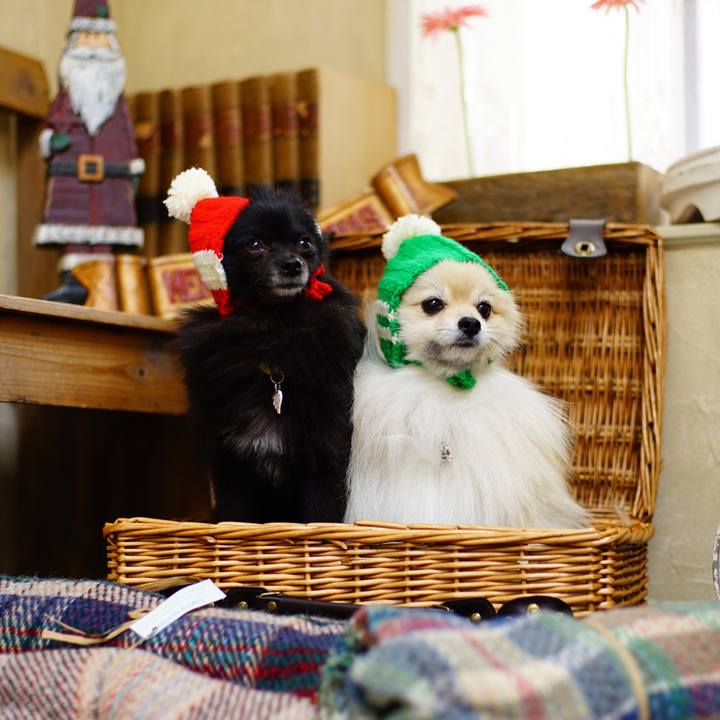 0372a31b f76f 47bb a939 048276dca74c