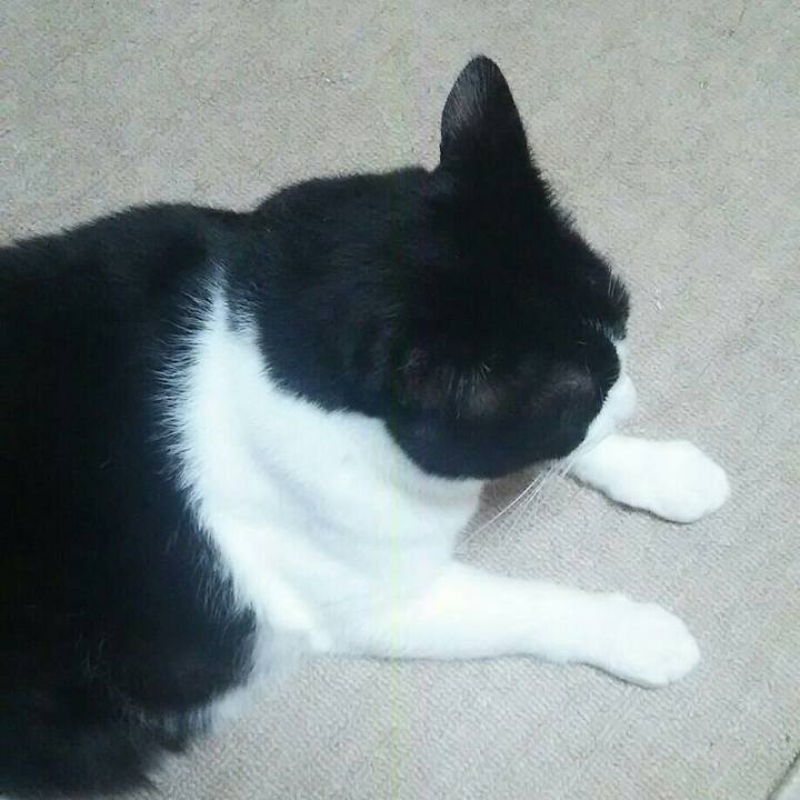 0373237f b259 41d8 a5ac 6473a97a8d70