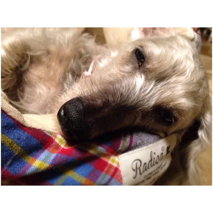 03742cfa 1370 4be2 ad11 3e6e40b6b9d2