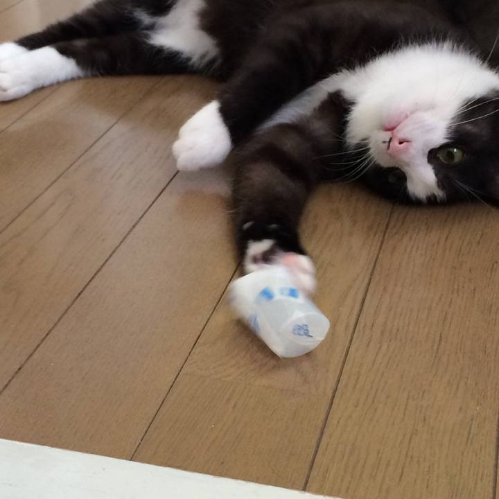 037456e0 8d33 4b87 862f 37e6bdb582da