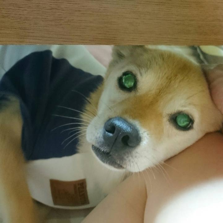 0374fdfe d62a 4a31 ad4b 1fa7eb9e90ce