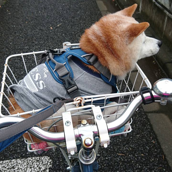 037570d6 4676 4b8f bc5c 2fc35b3ab2e8