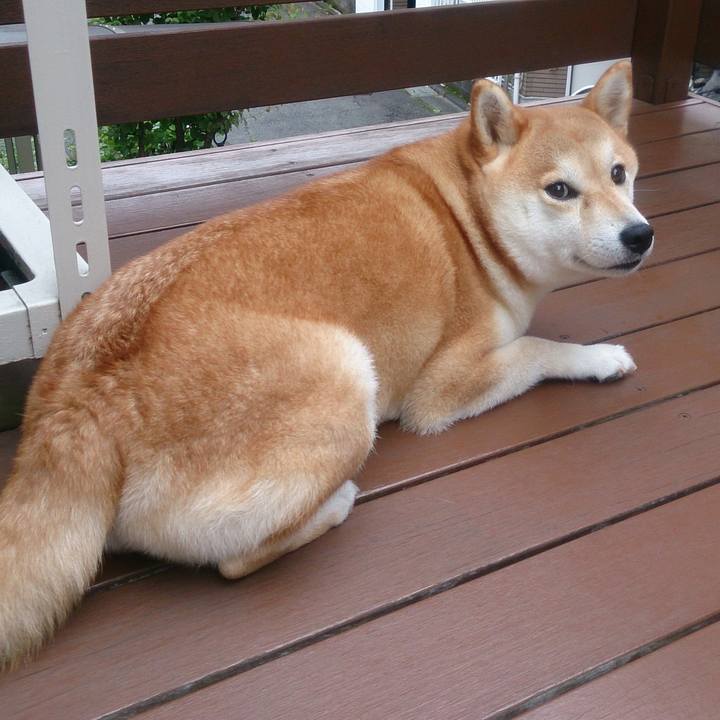 0375eacf 4d0b 45c7 8eab 79984b966f54