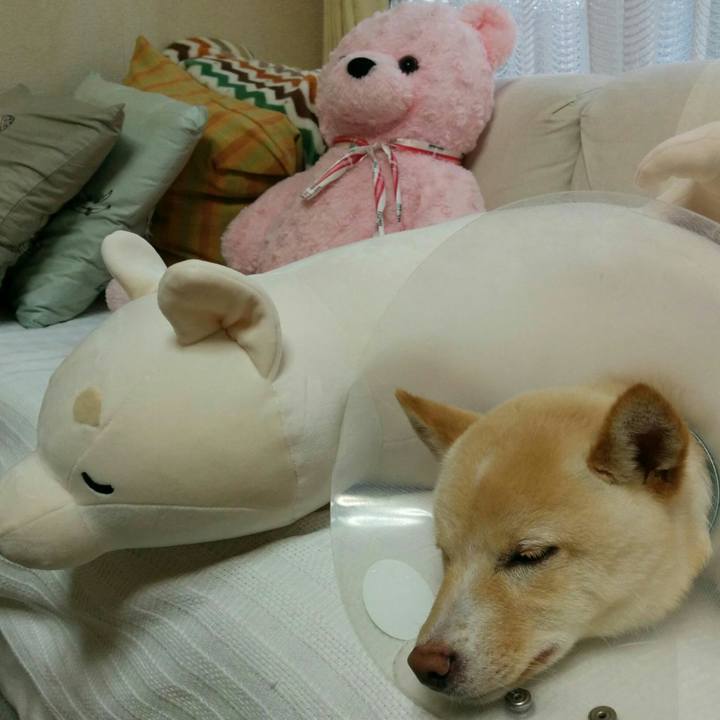 03767cde 9c0c 4085 823e a8afe463d3f8