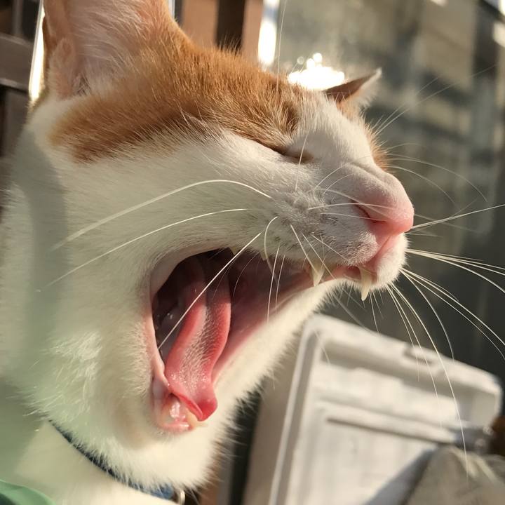 03770d1d 7c08 4e7c 9d85 98fd6d0ea565