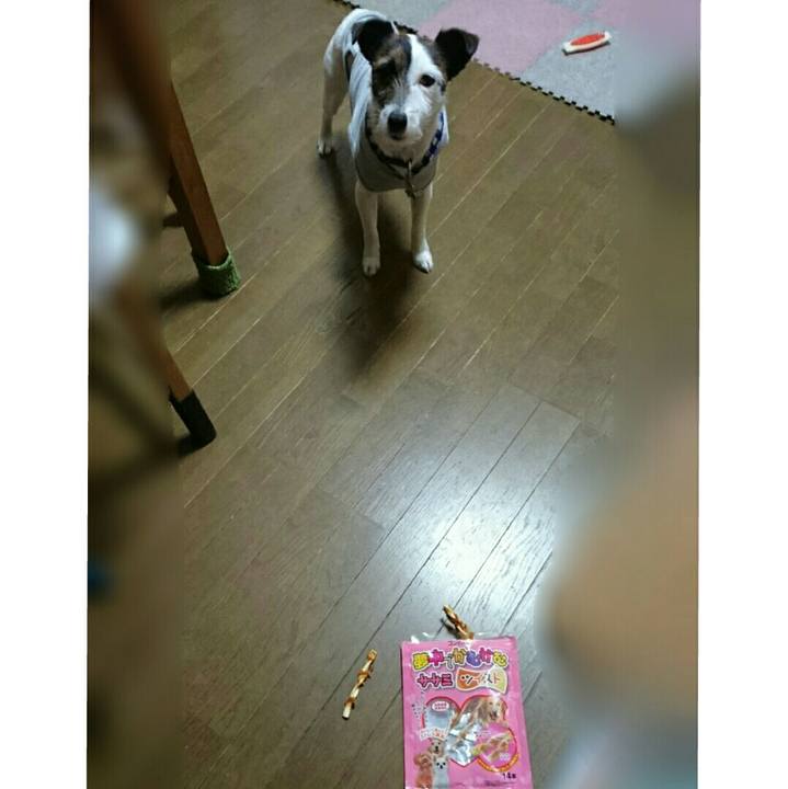 03775d53 7236 434d 9cc1 5a082fb3abaf