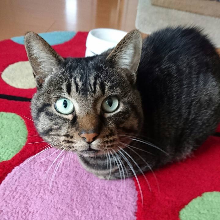 03778bfa 22d7 44d1 8a52 0e20568041c0