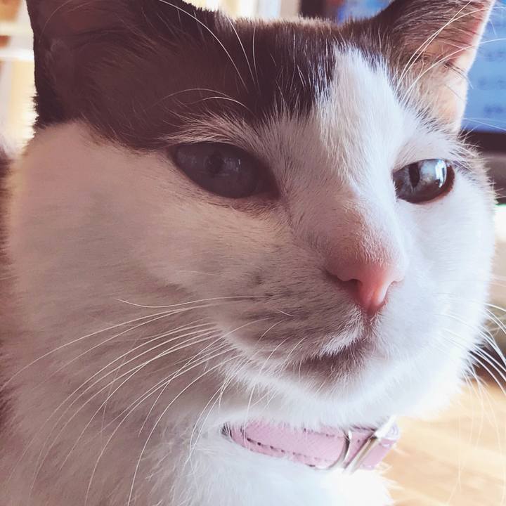 03780b70 5f75 402b a5c6 84f81f5c600c