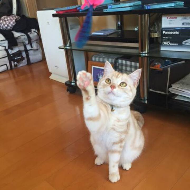 03781f95 9457 4f8c 991c fd2ef9f48beb