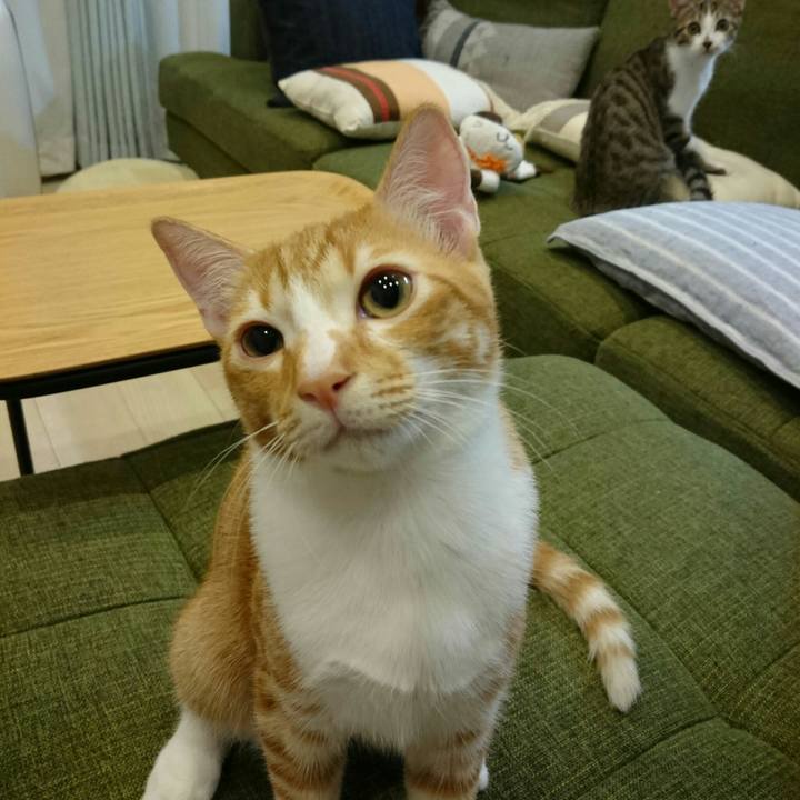 0378ba3d b62c 4a13 bd22 57a8b86ee1fb