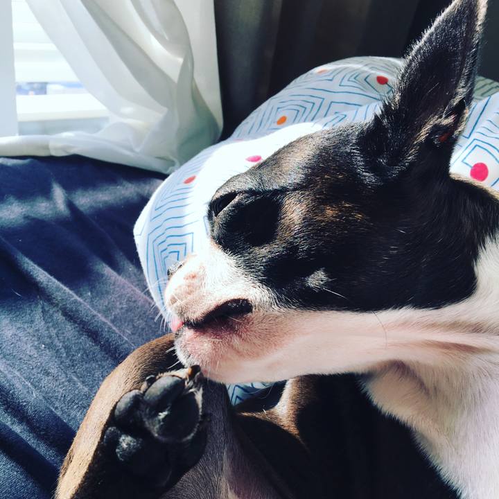 037a0a81 7891 45b0 a797 8c47cfdb0ad6