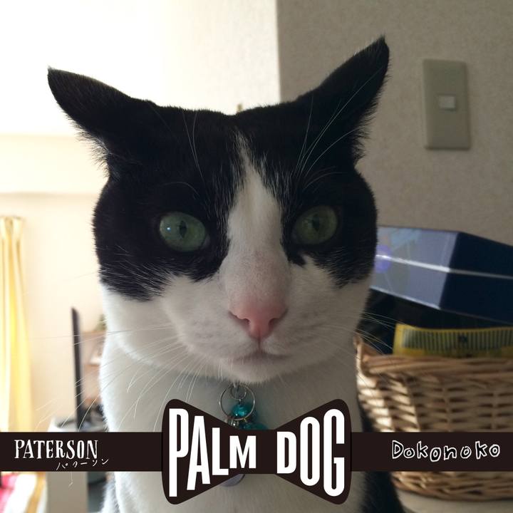 037a278d 54c8 44d3 bece 01ba9861101e