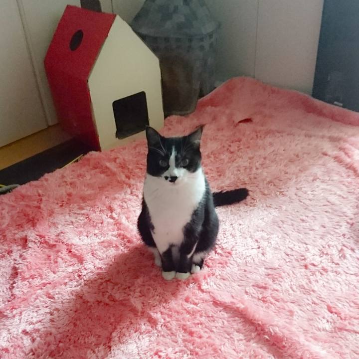 037a30a1 b4a8 4374 b962 05488e9ecf05