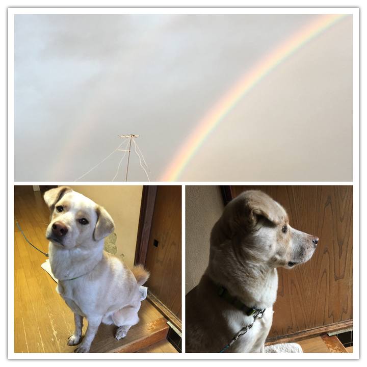 037a5f03 85a0 4ff5 b42e 177251d3f76f