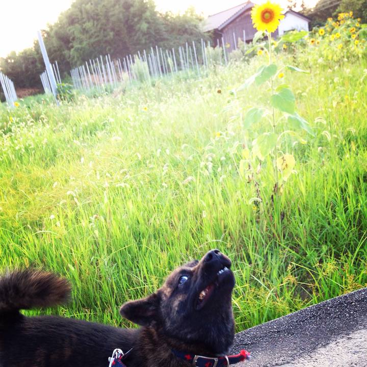 037a8bc0 b2eb 4d8e 9738 4ea13d9cc1c0