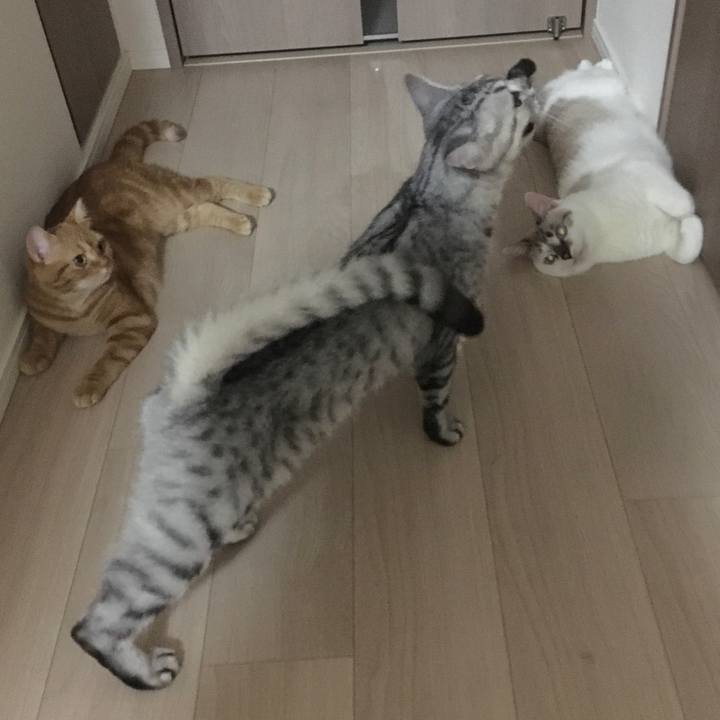 037c4296 7aab 43d9 bbaa 6454c2c3084f