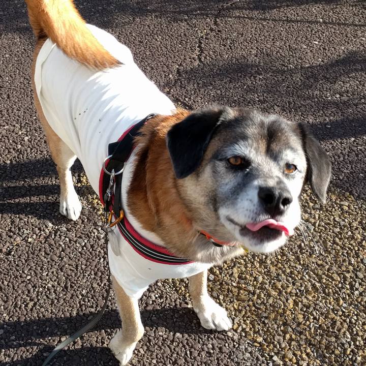 037c8d14 60da 43de 9633 fc55c63f6418