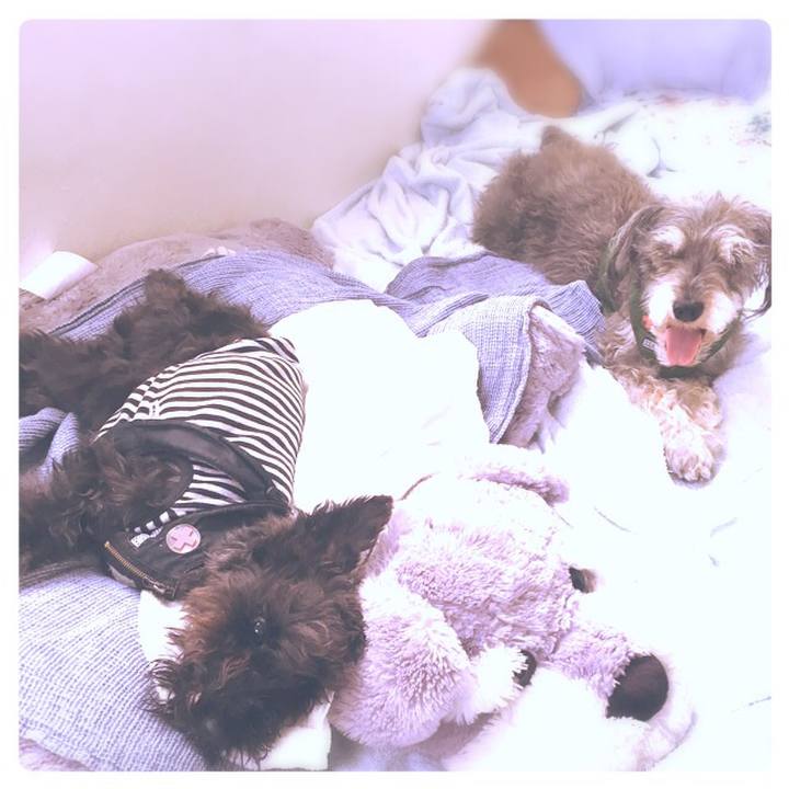 037cd542 5803 486a b3ed 39a7575f93d6