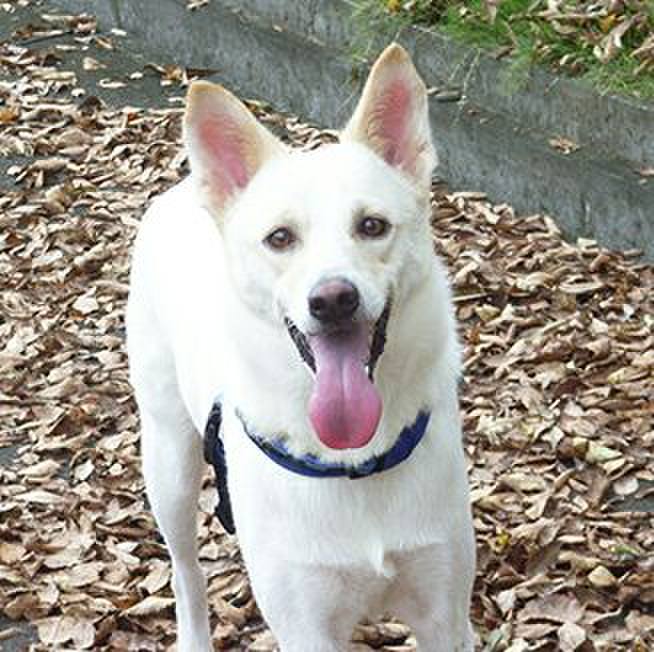 037d19ca 15ac 4ef4 9a93 98cb0b51f167