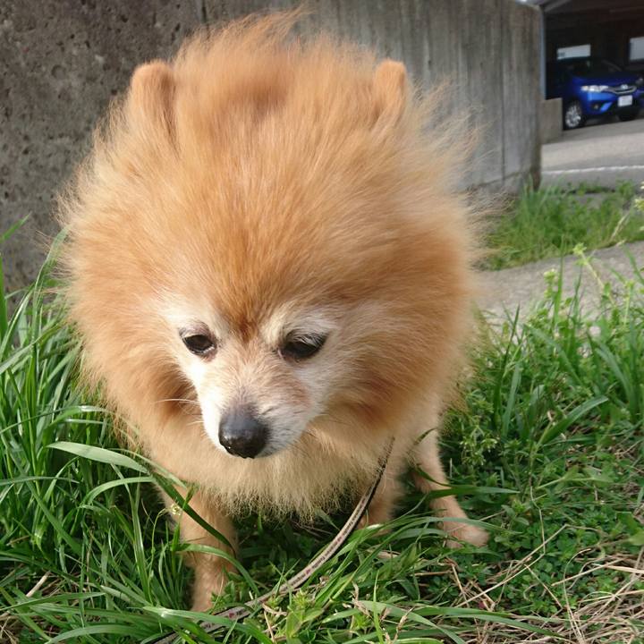 037d4aeb bdf4 48dc 8120 39c00b271daf