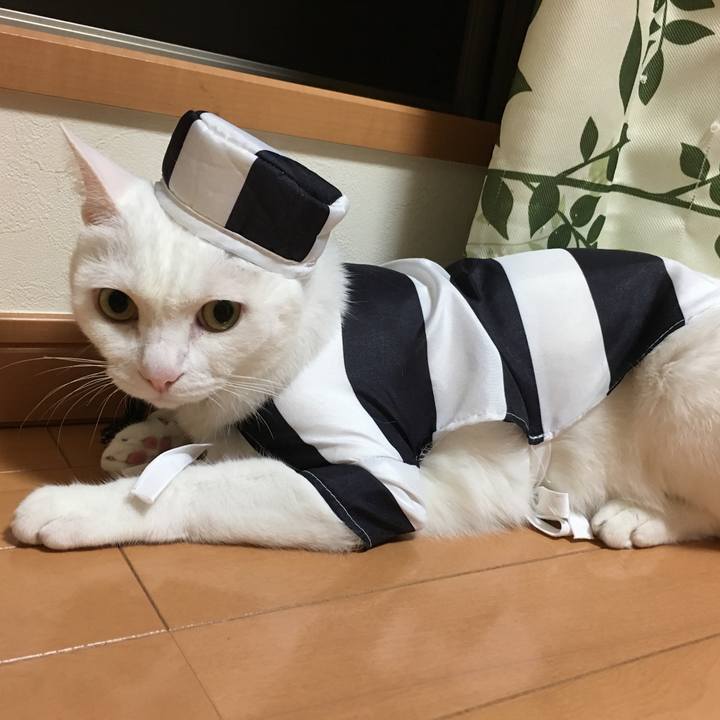 037dd7be 35de 4e5f 8d9e ba16ff4340cb