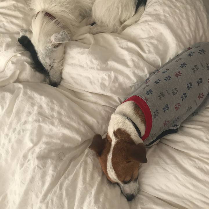 037dfb62 b21f 4243 b1c3 1ddcde544ff9