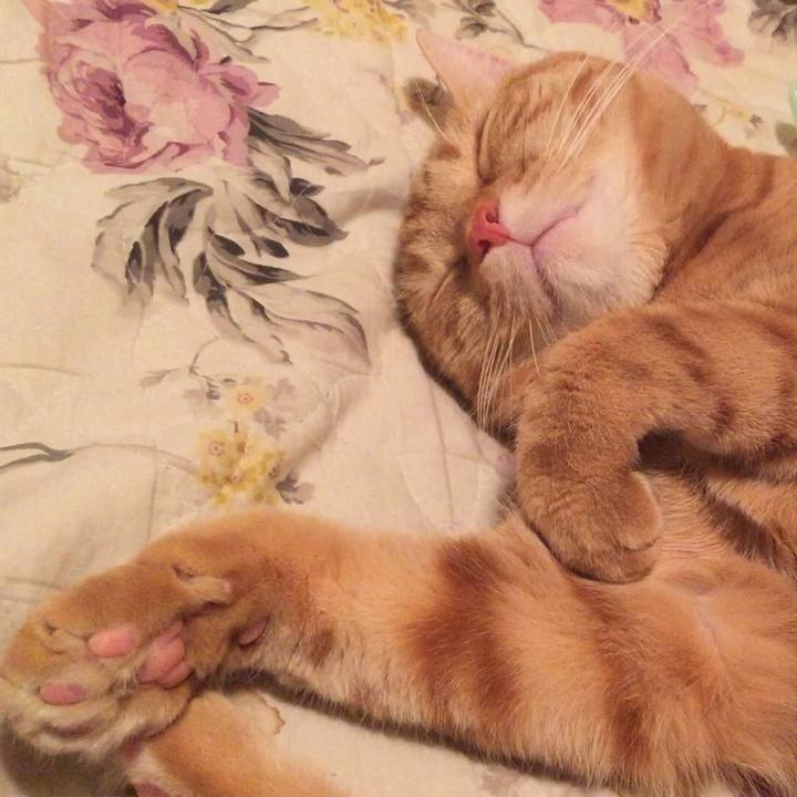 037e27ef 21bc 43e6 9bea 7f1682e9a24d