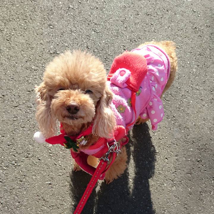 037e64aa 4b22 4b66 af9e b5da948c7b86