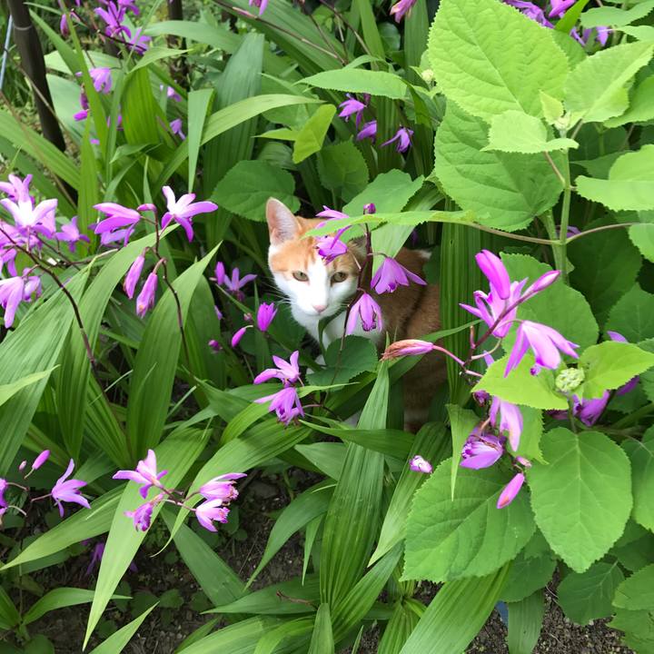 037ebbf9 7aba 4b58 b7cf 5a6a59b67eb1