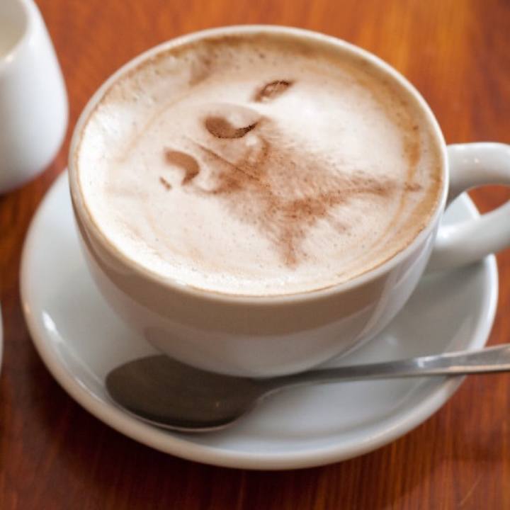 037eecb9 7e0a 4b23 9a32 62de0e8e603a