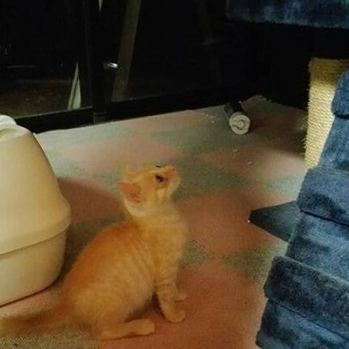 037f1143 97ce 4556 a3d4 5b314455c64d