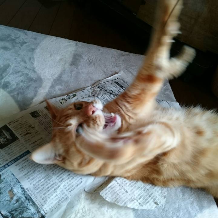 037f4f16 f8b4 47ff b0c2 c33757eec46f