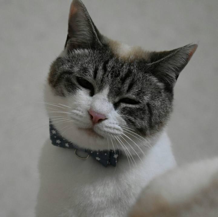 037fb7de aa30 4920 a1fa 4123e8d7015b