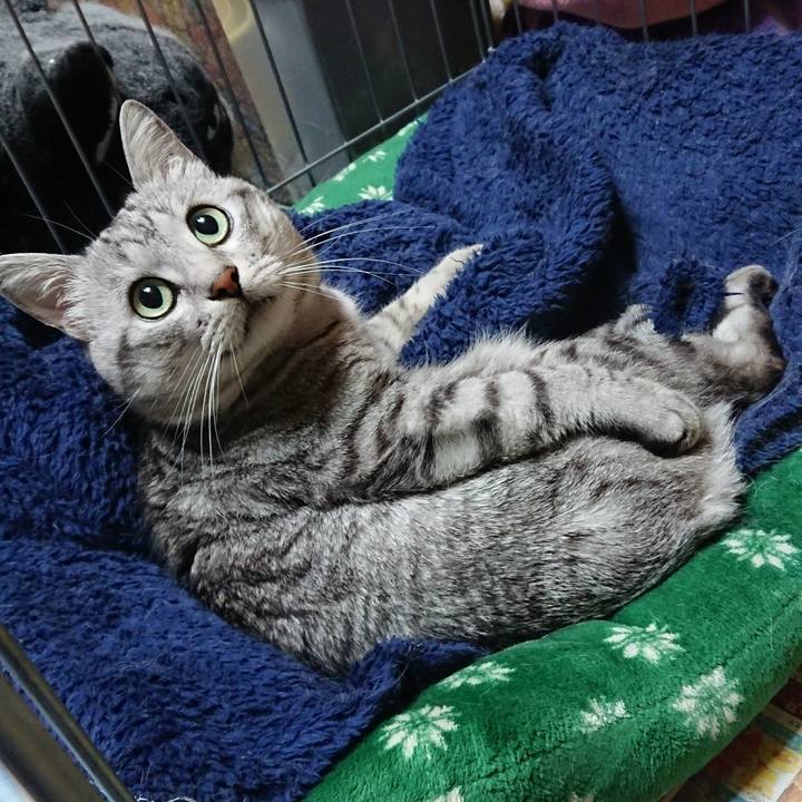 03805074 b49f 463d b9d2 3231aa632807