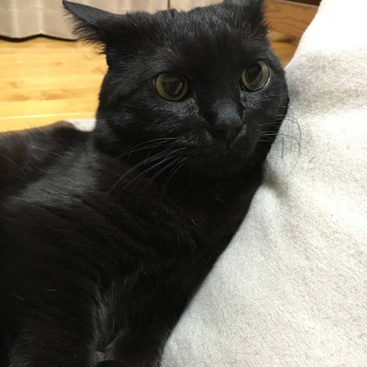 0380bcdb 4588 4350 b529 4dd88685b8c1