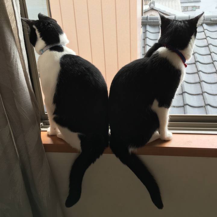 0380bee8 c3ef 43d9 818a 13aa23a45e0e